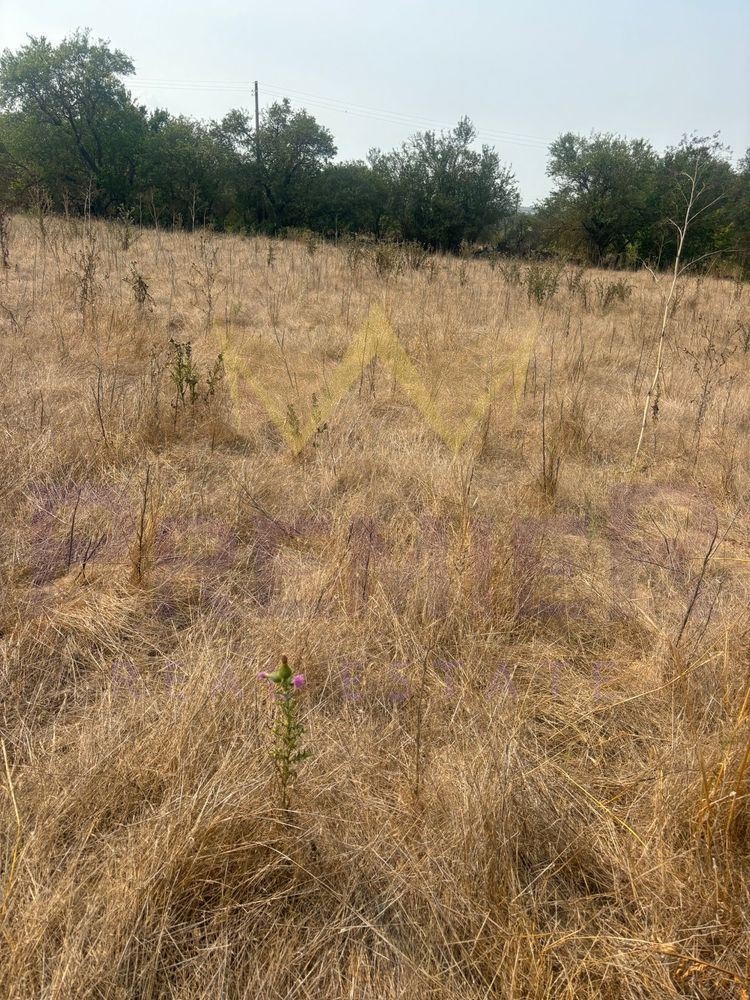 Zu verkaufen  Handlung region Varna , General Kiselowo , 2655 qm | 30363024 - Bild [4]