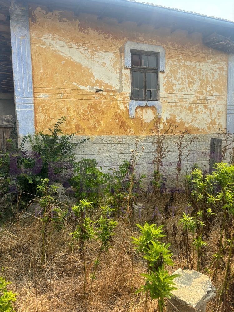 For Sale  Plot region Varna , General Kiselovo , 2655 sq.m | 30363024 - image [6]