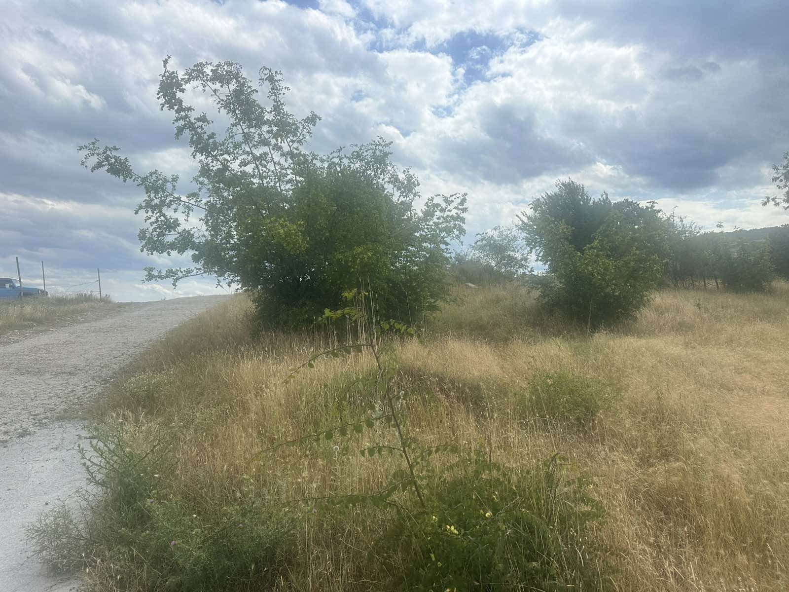 ������� ������ | Imot.bg � ����������� 5
