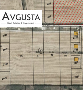 ������ ������� ������