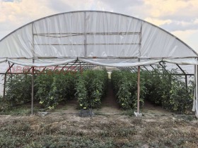 ������� ���������� ���� | Imot.bg � ����� ������ 3