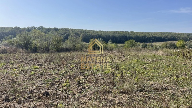 À vendre  Parcelle région Varna , Krivini , 724 m² | 80281593 - image [2]