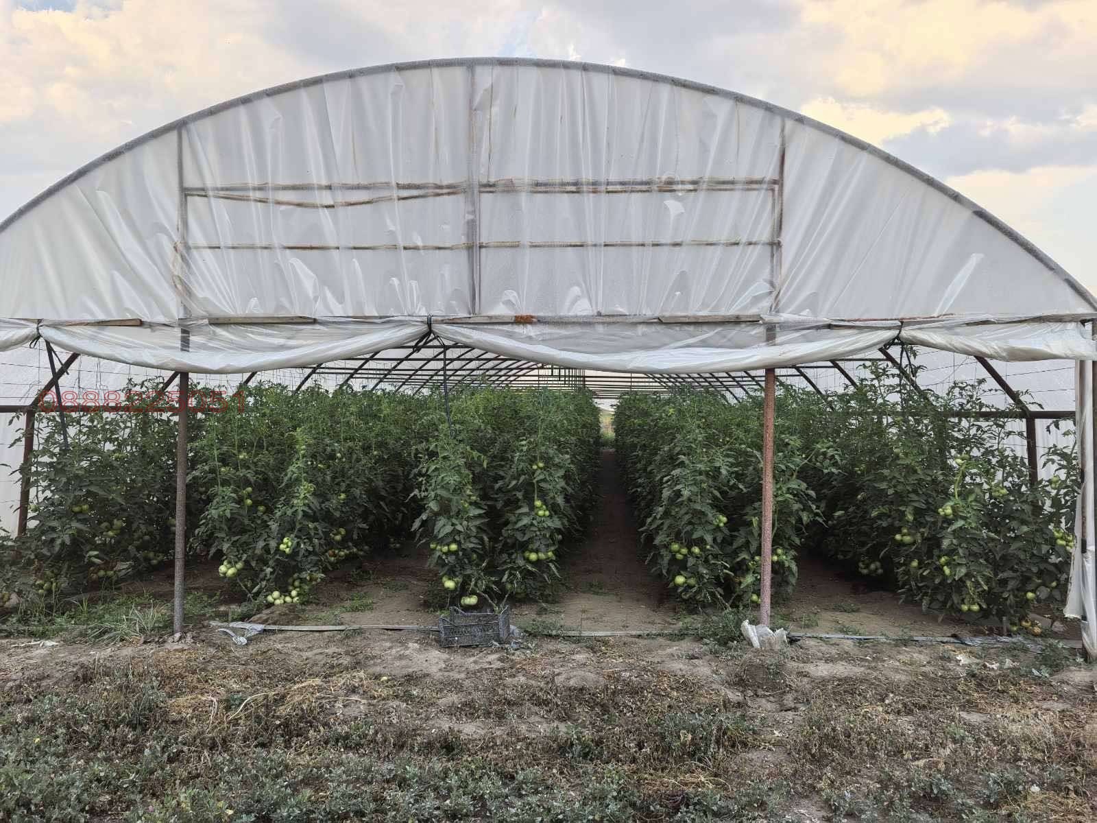 Продава ЗЕМЕДЕЛСКА ЗЕМЯ, с. Милево, област Пловдив, снимка 3 - Земеделска земя - 55445296