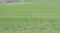 Продава ПАРЦЕЛ, гр. Ловеч, в.з. Бабаковец, снимка 2