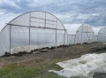 Продава ЗЕМЕДЕЛСКА ЗЕМЯ, с. Милево, област Пловдив, снимка 6