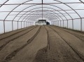 Продава ЗЕМЕДЕЛСКА ЗЕМЯ, с. Милево, област Пловдив, снимка 2