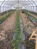 Продава ЗЕМЕДЕЛСКА ЗЕМЯ, с. Милево, област Пловдив, снимка 1