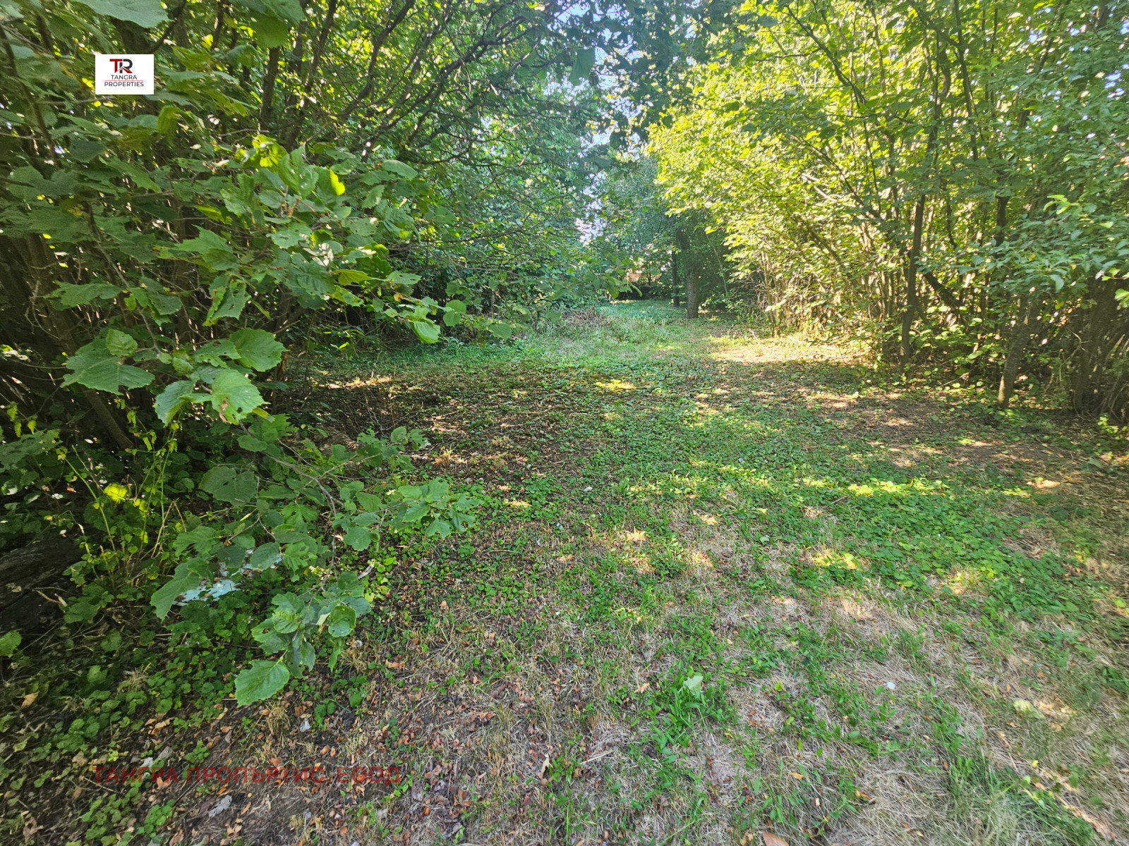 Продава ПАРЦЕЛ, с. Копаница, област Перник, снимка 4 - Парцели - 55621385