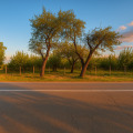 Продава ПАРЦЕЛ, гр. Нова Загора, област Сливен, снимка 2