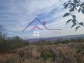 Продава ПАРЦЕЛ, с. Доброглед, област Варна, снимка 5
