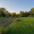 Продава ПАРЦЕЛ, област Сливен, гр. Нова Загора • по договаряне • 36800027 — Holmes.bg