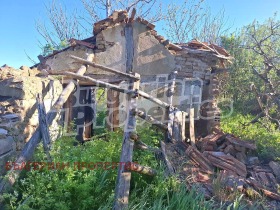 Hus Aleksandrovo, region Yambol 5