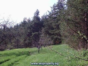 ������� ������ | Imot.bg � ����� ������ 12