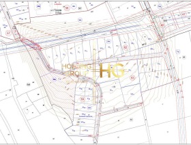 ����� ������� ������,���� �����, �. ������