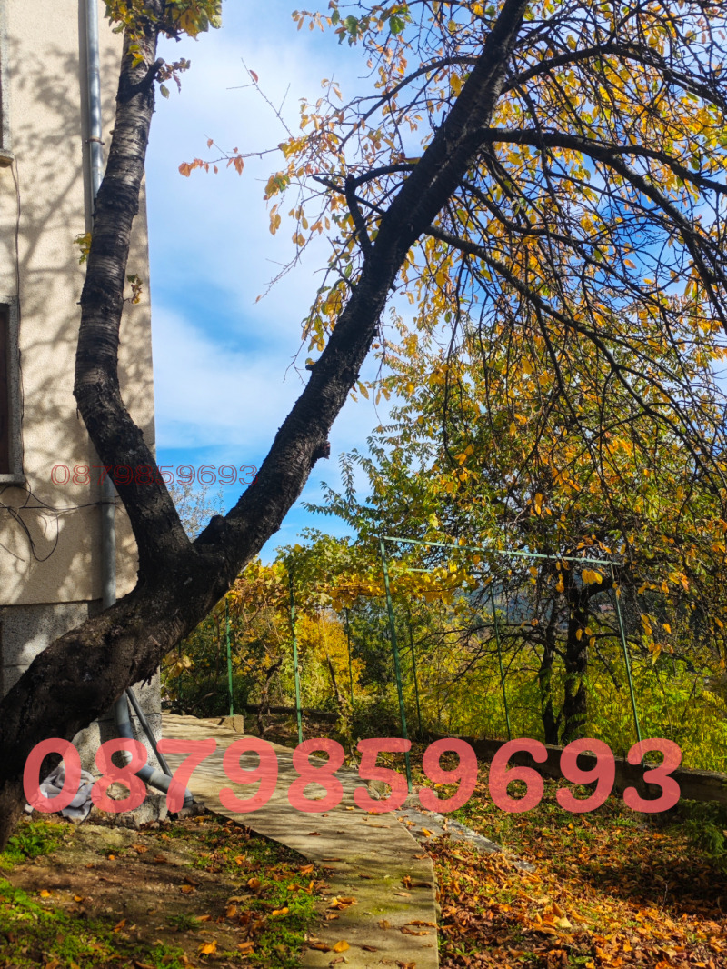 Продава КЪЩА, гр. София, с. Панчарево, снимка 16 - Къщи - 52730190