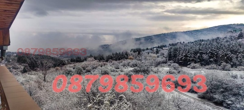 Продава КЪЩА, гр. София, с. Панчарево, снимка 15 - Къщи - 52730190