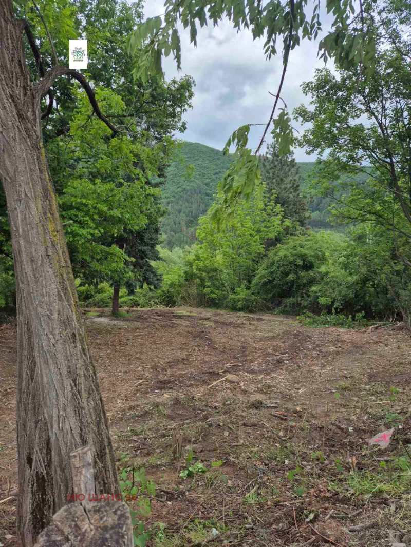 Продава БИЗНЕС ИМОТ, гр. София, с. Панчарево, снимка 6 - Други - 50073701