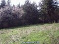 Продава ПАРЦЕЛ, гр. София, м-т яз. Искър, снимка 2