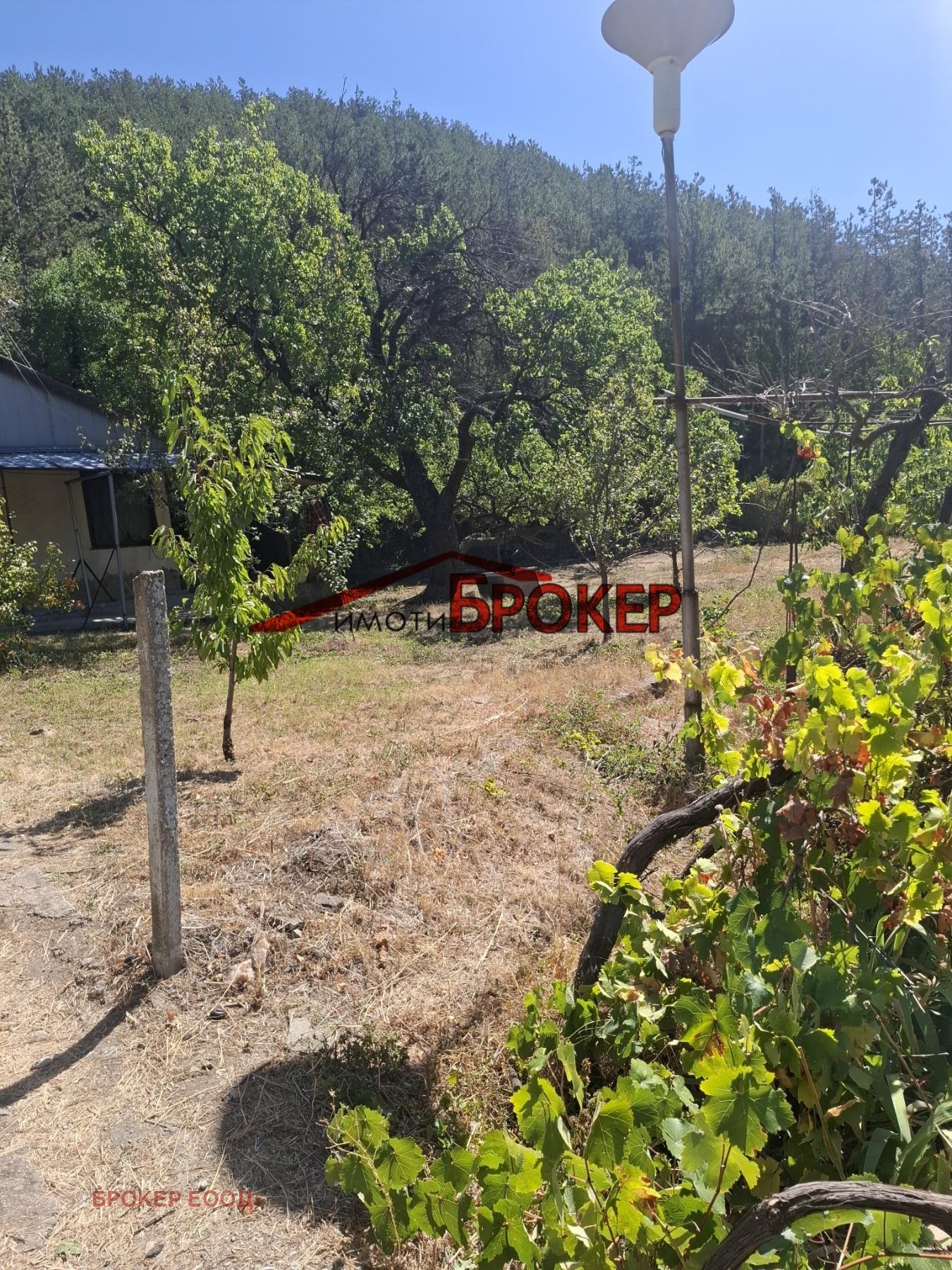 ������� ���� | Imot.bg � ����������� 2