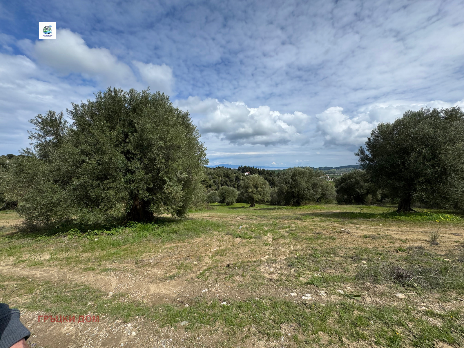 ������� ������ | Imot.bg � ����������� 2