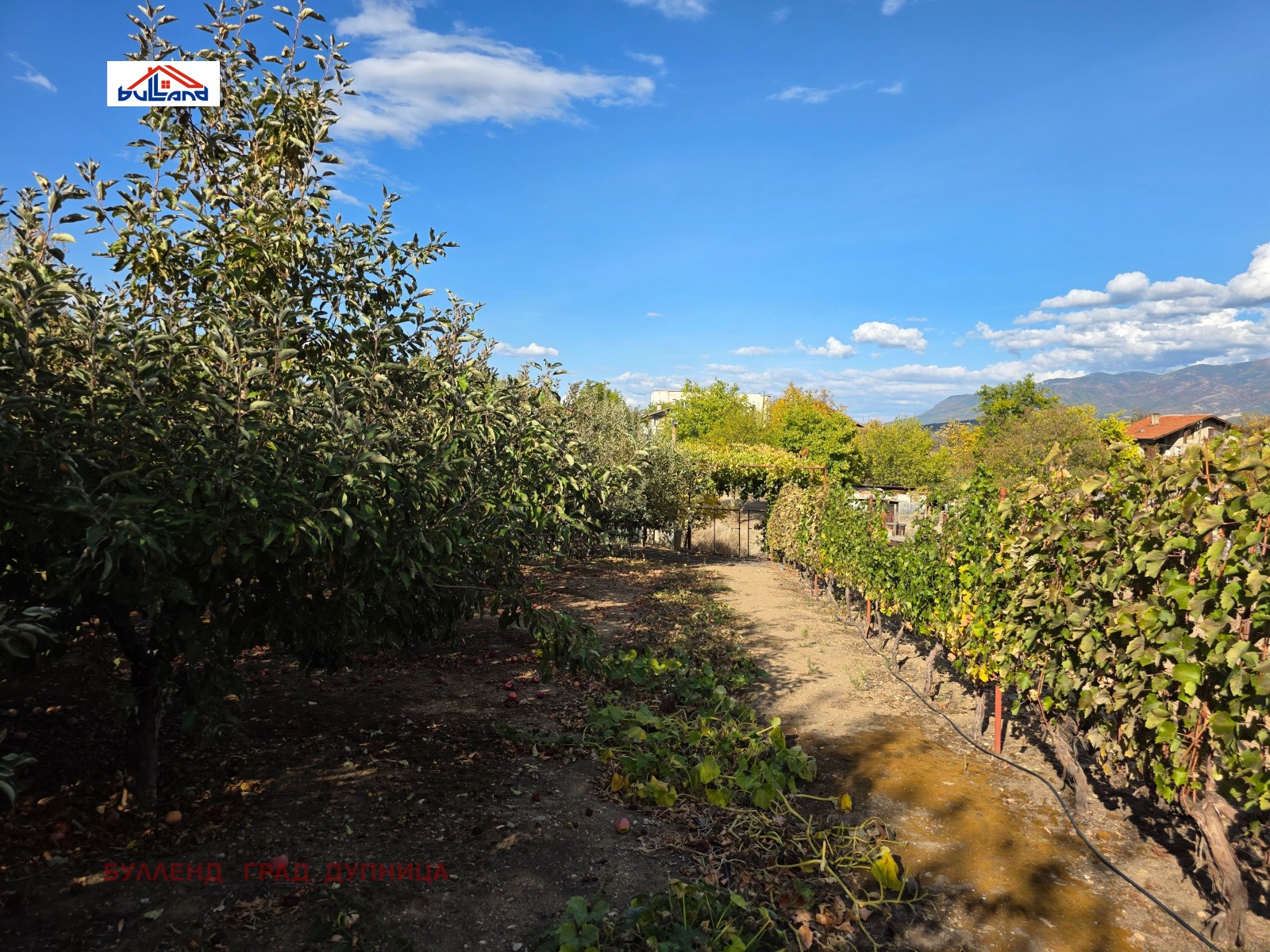 ������� ���������� ���� | Imot.bg � ����������� 14