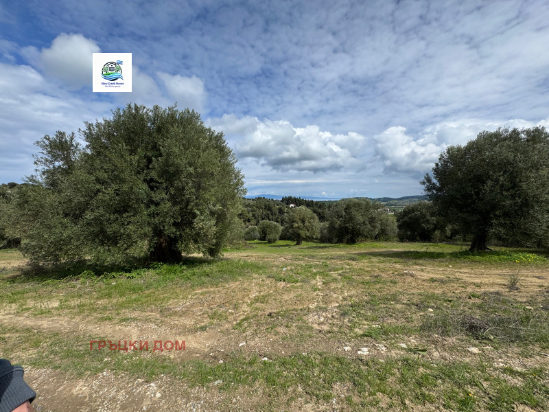 Продава ПАРЦЕЛ, Извън страната, област Извън страната, снимка 2 - Парцели - 52689984