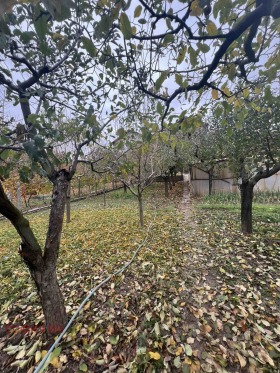 Complotto Dragodan, regione Kjustendil