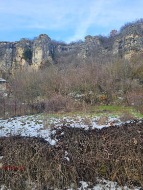 ����� ������� ������,�. ���������, ������ ������