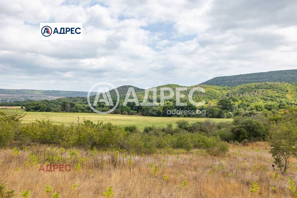 Продава КЪЩА, с. Църква, област Добрич, снимка 6 - Къщи - 54136011