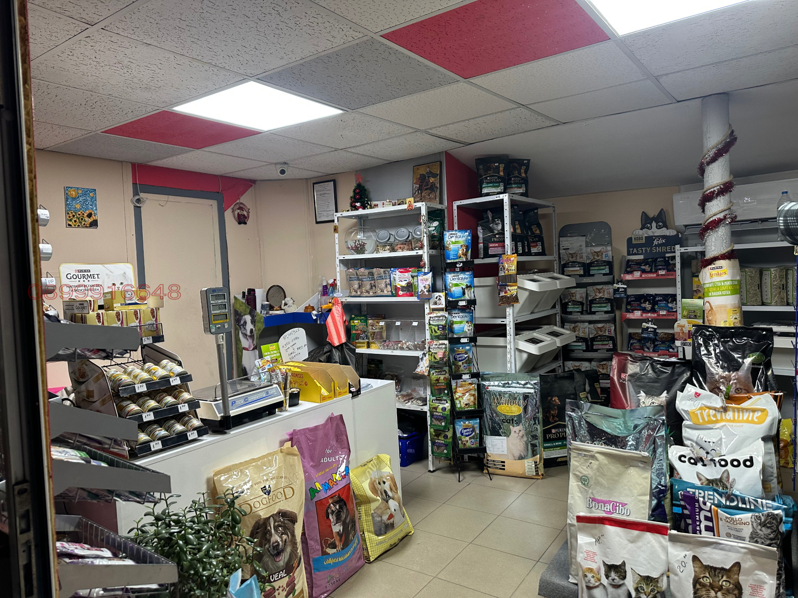 Продава БИЗНЕС ИМОТ, гр. Благоевград, Еленово 1, снимка 5 - Други - 54059028