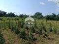 Продава КЪЩА, с. Соколово, област Добрич, снимка 11