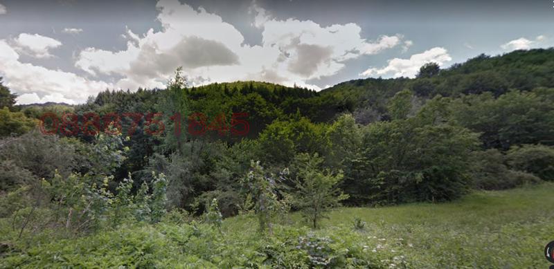 Продава ПАРЦЕЛ, с. Чифлик, област Ловеч