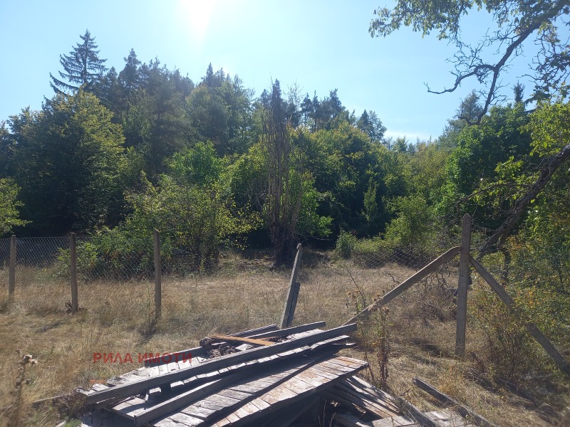 Til salg  Grund region Sofia , Raduil , 3000 kvm | 64246749 - billede [4]