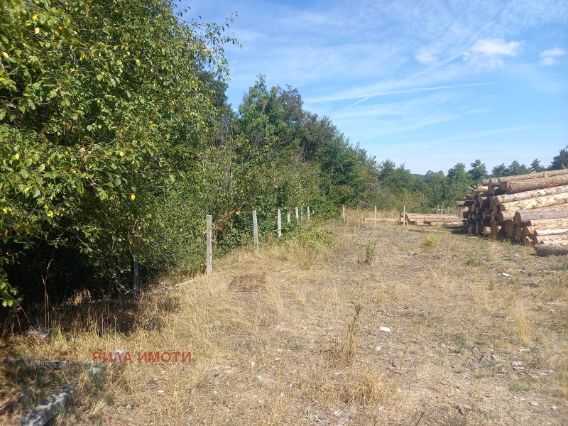 Til salg  Grund region Sofia , Raduil , 3000 kvm | 64246749 - billede [5]