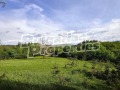 Продава ЗЕМЕДЕЛСКА ЗЕМЯ, с. Голям извор, област Ловеч, снимка 9