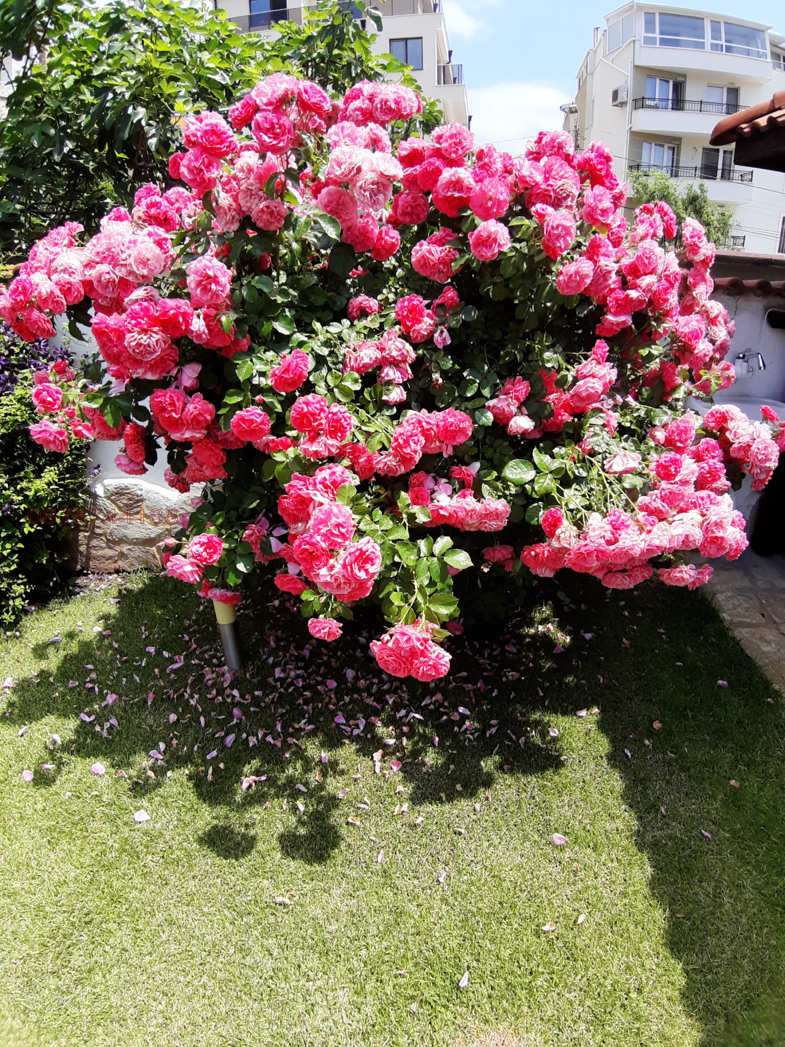 ������� ���� | Imot.bg � ����������� 12