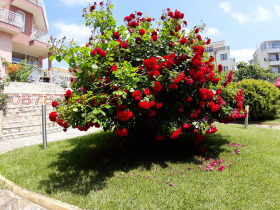 ������� ���� | Imot.bg � ����� ������ 13