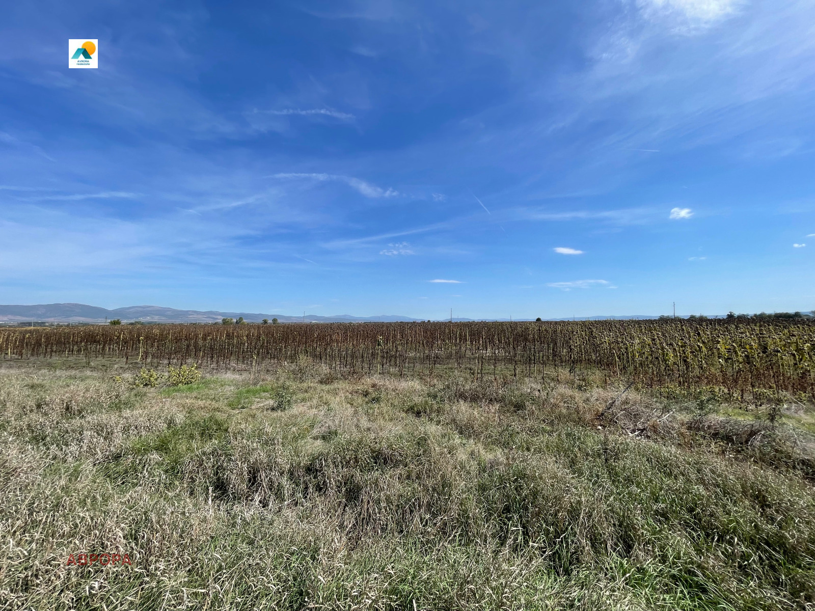 Продава ПАРЦЕЛ, гр. София, с. Кривина, снимка 2 - Парцели - 54320301