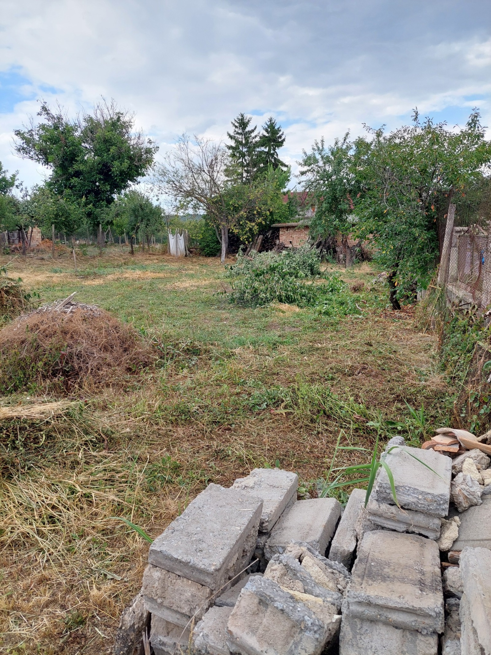 Продава ПАРЦЕЛ, с. Дибич, област Шумен, снимка 3 - Парцели - 55535369