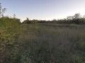 Продава ПАРЦЕЛ, с. Николаево, област Перник, снимка 5