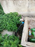 Продава ПАРЦЕЛ, с. Николаево, област Перник, снимка 9