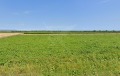 Продава ПАРЦЕЛ, град Бургас, Рудник • 12300 € • 26362436 — Holmes.bg