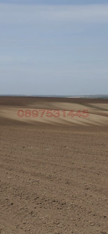 ������� ���������� ���� | Imot.bg � ����������� 1