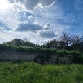 Продава КЪЩА, с. Староселец, област Варна, снимка 6