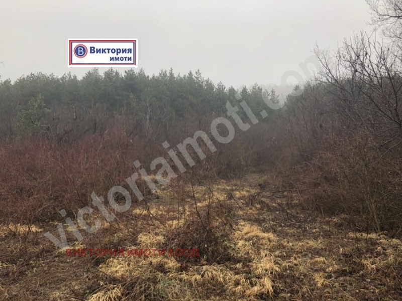 Продава ПАРЦЕЛ, с. Присово, област Велико Търново, снимка 2 - Парцели - 52333840