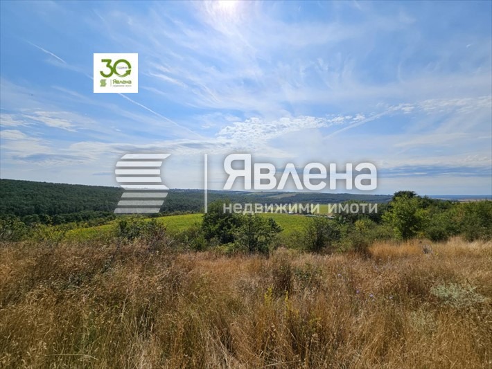 Продава ПАРЦЕЛ, с. Бенковски, област Варна, снимка 3 - Парцели - 53954865