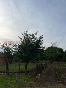 ������� ���� | Imot.bg � ����� ������ 14