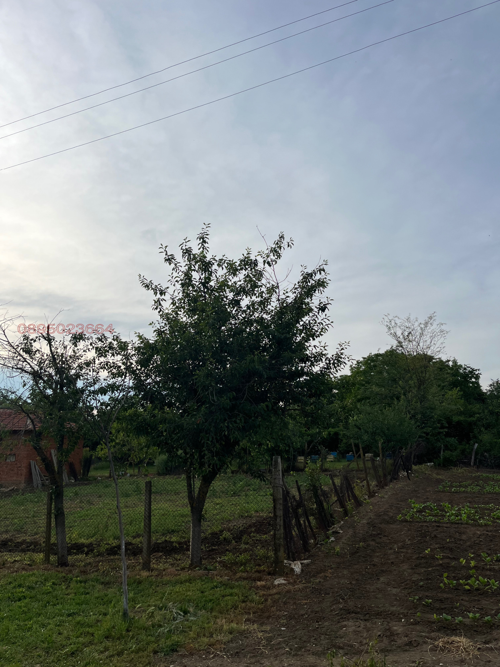 Продава КЪЩА, с. Горичево, област Разград, снимка 14 - Къщи - 54873658