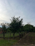 Продава КЪЩА, с. Горичево, област Разград, снимка 14
