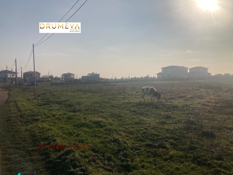 En venta  Trama región Dóbrich , Topola , 3440 metros cuadrados | 70396577 - imagen [5]